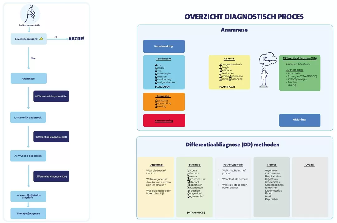 Het schema dat sinds 2024 gebruikt wordt in het studentenonderwijs voor de lessen over het diagnostische proces