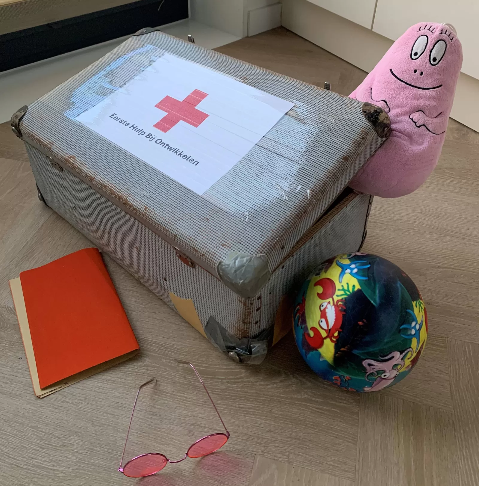 Koffer die Rina en Marlies gebruiken voor het bespreekbaar maken van zelfsturing
